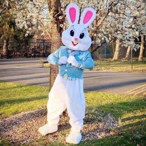 party character easter bunny light blue costume